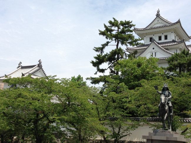 東海地方のあまりの暑さに耐えかね、<br />水の都大垣に行ってきました。<br />・大垣城<br />・水まんじゅう<br />・自噴水<br />などを見てきました。