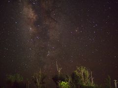 西表島で満天の星空を観てちょっとだけ竹富島観光と石垣牛の旅
