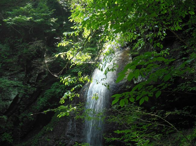 那須に１０日間滞在し、日光などの世界遺産や茶臼岳などの自然、那須温泉　塩原温泉などの温泉を楽しみました。那須はとても涼しく、毎日必ず雨が降りました。連日３５度以上の大阪を離れ、２５度〜３０度の那須高原で涼しさを満喫しました。