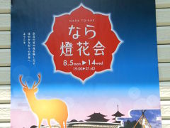 2013年　なら燈花会