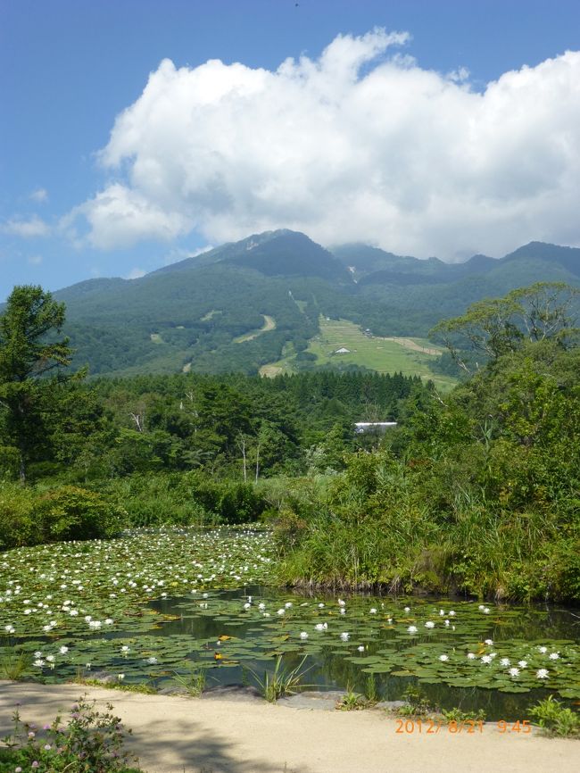 2012 新潟旅行二日目<br /><br />赤倉温泉から、「いもり池」を回り<br />「苗名滝」を見に来ました。<br /><br />夏の高原は風も爽やかで気持ちが良いです！<br /><br /><br /><br /><br />＊一日目の旅行記はこちら<br />http://4travel.jp/traveler/inakurokawa/album/10799044/