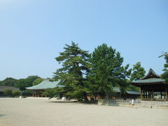 畝傍山周辺を歩く、バードウォチング　