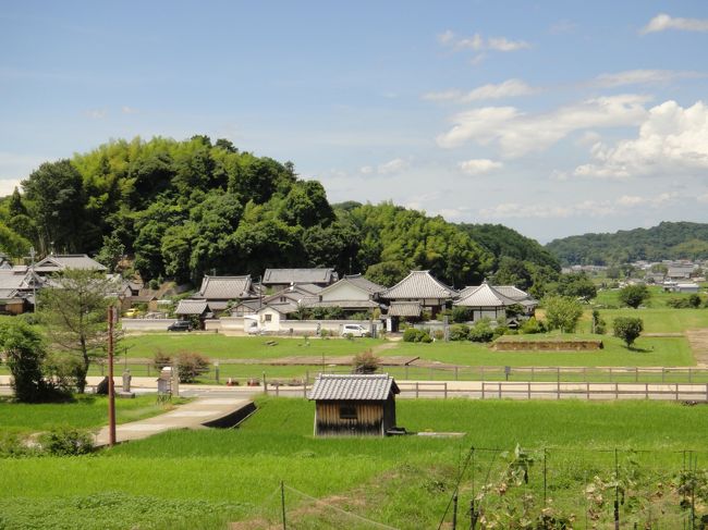 明日香路をサイクリングした。<br />橿原神宮駅前のレンタサイクルで自転車を借りて、飛鳥坐神社、飛鳥寺、岡寺、橘寺、川原寺と寺社を巡った。予想外に観光客が少なく、ゆったりと明日香をまわれた。<br />９時３０分に出発して、午後３時に戻る。