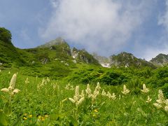 蓼科・木曽の旅③　二日目前半　千畳敷カールは天空の花園