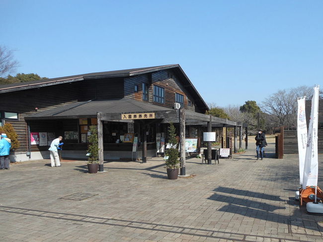 東京港野鳥公園に、珍鳥タカサゴモズが出ているとの情報を戴き、見に行ってきました。<br /><br />タカサゴモズは、１０年前に初めての海外探鳥会で香港に行った時に見て以来でしたので、懐かしかったです。<br /><br />表紙写真は、東京港野鳥公園の管理事務所兼入場券券売所です。<br /><br />※ 2016.10.04 位置情報登録<br /><br />