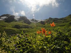 花に魅せられ　白馬～白馬大池～蓮華温泉を歩く