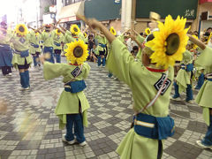 2013.8.11～13よさこい祭りと阿波踊り