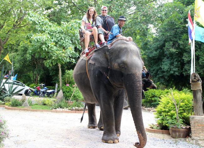 Hua　Hin　エレファントビレッジ　8月/2013<br />ホアヒン町中心より車で15分位の所に、エレファントビレッジがありました。<br />目の前で見た象さんは大きかった。<br />入場料は無かった。<br /><br />多くの観光客は、この象さん乗りにきてました。
