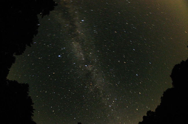 今年の夏休みは2泊3日で岡山蒜山高原に行ってきました。高原のせいなのか木陰が多かったせいか大阪の暑さとは違い比較的過ごし易い暑さでした。<br />夜は満天の星空でした。折りしもペルセウス流星群のピーク前、写真撮影は出来ませんでしたが夜空を流れる星を何度も見ることが出来ました。
