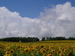 北海道　車中泊　苫小牧-稚内-旭川-美瑛・富良野