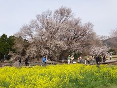 湯巡り☆女一人旅～南阿蘇・九重・筋湯温泉編～