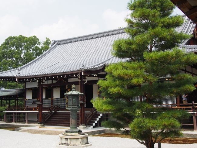 京都の嵯峨野にある大覚寺、まだ行ったことが無く、いま文化財特別公開で、心経宝塔が公開されています。<br /><br />そしてその近くにある祇王寺も同じく未知の場所。<br /><br />それであればということで、嵯峨野の大覚寺から祇王寺へまわることに決めました。<br /><br />大覚寺なんと素晴らしいところなのでしょうか、京都の奥深さを思い知らされた感じです。<br /><br />祇王寺も苔の美しさは、何ともいえず良いものです。<br /><br />暑かったですが、嵯峨野で良い時を過ごすことができました。<br /><br />【写真は、大覚寺の御影堂です。】