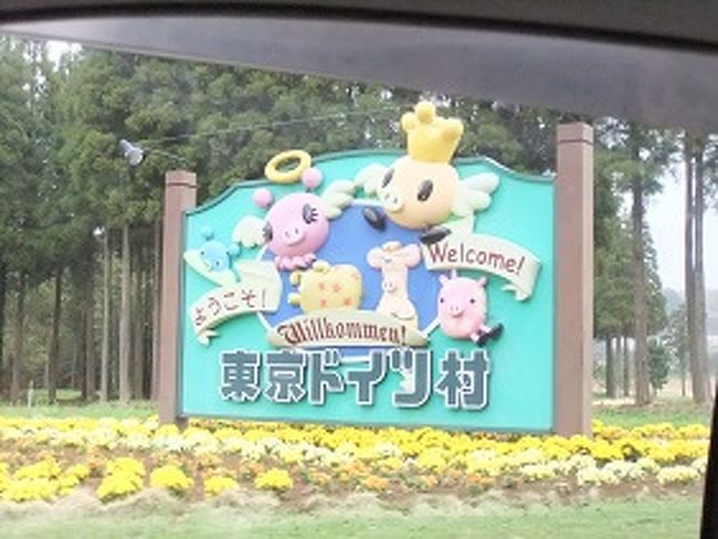 春と言えばイチゴ狩り。メッカである千葉県は房総半島に行ってきました。また、関東三大イルミネーションといわれる内の一つ、ドイツ村のイルミネーション見学をしてきました。ちょっと肌寒かったですが、なかなか見ごたえのある一日でした。