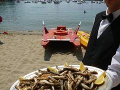 優雅な夏バカンス　イタリア・東リビエラの旅♪　Ｖｏｌ１１５（第１０日目昼）　☆セストリ･レヴァンテ：ランチはビーチを眺めながらイタリアンハンバーガー♪