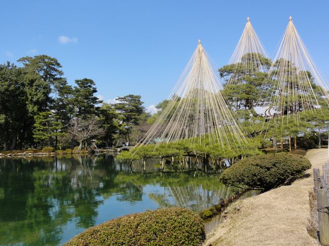 兼六園に行ってきました。<br />「冬」の兼六園でしたが、見応えは十分ありました。<br />写真は「松の雪吊」です。