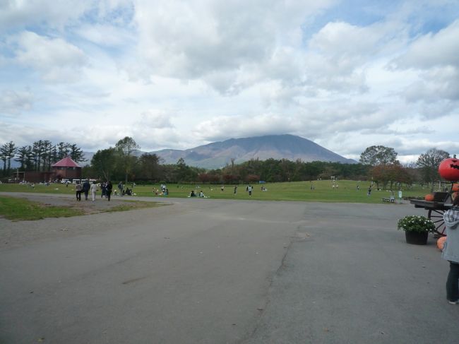 2009年秋、紅葉を見に東北へ<br />三連休パスを使い、角館・湯田温泉峡・小岩井農場を巡る<br />まだ時期が早かったのか、紅葉は微妙ではあった<br /><br />ほっとゆだ駅から北上線で北上駅へ行き、東北本線で盛岡駅まで移動<br />バスで小岩井農場へ行き、羊や牛を眺める