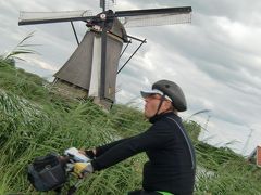 2013 AUG. Netherlands