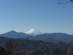 徒歩で登った高尾山