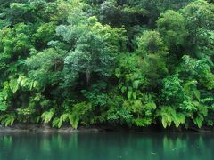 八重山諸島島巡りで自然に癒されおいしいものを満喫する旅（西表島編）