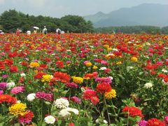 ’１３　北東パス甲信越周遊１　1日目前半：山梨（忍野八海～花の都公園～山中湖）