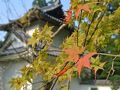 出石・但東の旅行記