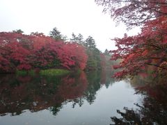 紅葉リベンジ　その2：軽井沢