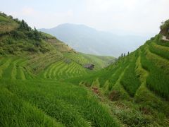 2013年：広西チワン族自治区の旅～その3：龍勝の絶景棚田へ～