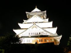 車で行く西日本の旅　大阪府　夜の大阪城