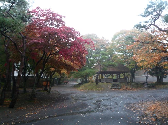 1ヶ月前に東北に紅葉を見に行ったもののまだ早く消化不良<br />近場の関東圏で再度紅葉を見に軽井沢・八ヶ岳に行くことに<br /><br />軽井沢からしなの鉄道で小諸に移動。小諸駅前で宿泊<br />翌日、小諸城址懐古園に紅葉を見に行く