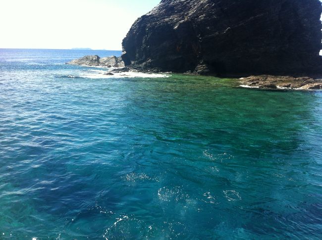 慶良間諸島でのダイビング。<br />本島とは透明度が違います。<br />日本にこんな海があるのは世界に誇れると思います。