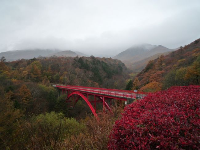 1ヶ月前に東北に紅葉を見に行ったもののまだ早く消化不良<br />近場の関東圏で再度紅葉を見に軽井沢・八ヶ岳に行くことに<br /><br />小諸駅から小海線に乗り清里駅へ<br />駅前のグラタン専門店で昼食<br />バスで東沢大橋へ行き紅葉を見る<br />その後美の森などに行き、再び小海線で小淵沢まで出て中央本線で帰路につく<br />甲府で途中下車しほうとうを食べる