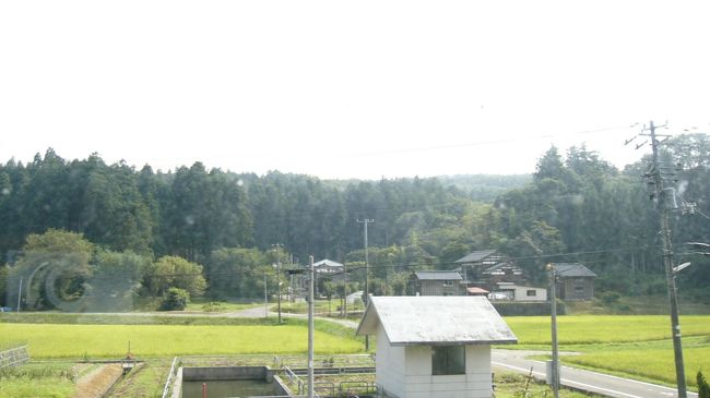 8月15日未明〜今日8月18日朝まで、家族の生家がある新潟県柏崎市(旧西山町)に行ってきました!!<br />東北道・北関道を途中、群馬県に入って最初のポイント・波志江PAでトイレ休憩後、高崎から関越道に入り、関越トンネルを抜けて新潟県へ。そこで見たものは・・・?<br /> 冬になれば銀世界となる山間部を下り、越後川口SAで朝食。山菜そばとライスにしました。<br /> まだ、目的地まで時間に余裕があったので、越後川口ICで関越道を降り、十日町市(旧川西町)・旧高柳町ののどかな田園風景を望みながら、柏崎市の中心部を抜け、ここからは日本海沿岸に沿ってドライブ!!<br />絶景といっていいくらい、今、写真撮影をしそびれた事を後悔しているほどです。<br /> 目的地に近づいてきましたが、まだ時間があるので、寺泊方面に向かって日本海沿岸を北上。<br /> そして、出雲崎の道の駅で、新潟県産コシヒカリを使用した塩アイスと安田町の牛乳を使用したシューアイスを味わいました。とてもおいしいですよ。<br />(写真は目的地で撮影したのどかな田園風景です。)<br /><br /> のんびり過ごした後、今日8月18日未明に帰途へ。今度はまっすぐ北陸道の西山ICに向かい、長岡から関越道に入り、再び越後川口SAへ。ここでは、ヤスダヨーグルトを味わいました。<br /> その後は行きと同様に、関越道を一路高崎に向けて走り、北関道を経て東北道の佐野SAへ。佐野ラーメンとレモン牛乳で朝食にしました。
