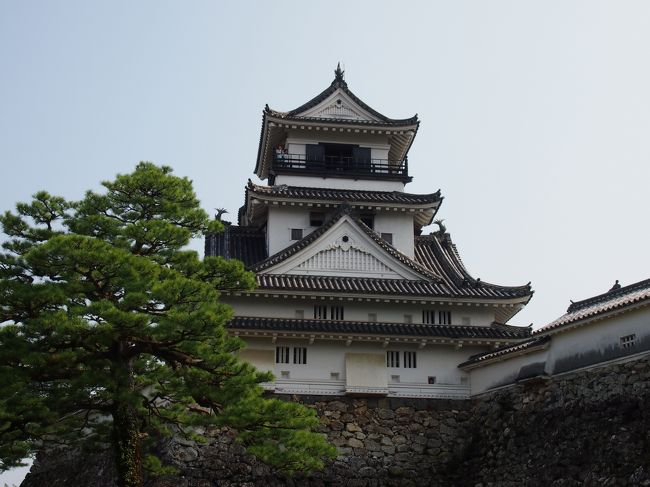 現存するお城の一つの高知城です<br /><br />近くのひろめ市場もお勧めです