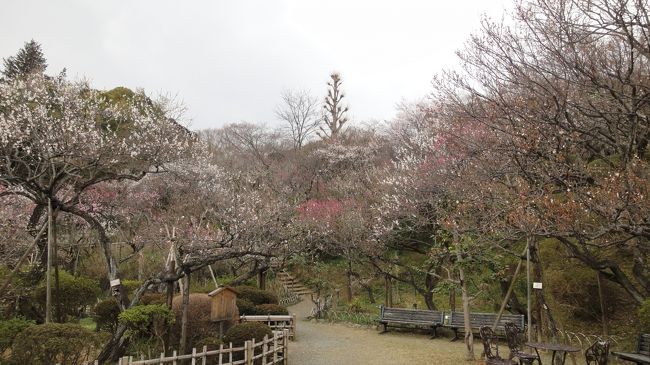 百草園から高幡不動へ