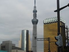 バスツアーに乗り東京見物～箱根～横浜へ