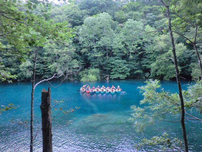 お盆休みを利用して、妹家族が関西から、私の住む札幌に遊びに来ました。<br />妹家族は妹と旦那様と、<br />小2、小４、小６の男の子３人の、計５人家族。<br /><br />なるべく交通費を安くするため、新日本海フェリーを使用。<br />それでも、片道５人で８万円（車両なし）<br />さらに、２か月前から販売開始なのですが、４，５日後にはフェリーは満員。<br />帰りは、高額な部屋しか残っておらず、<br />同じ値段なら、長時間、北海道に滞在できる方の、飛行機を選択。<br />それで、帰りは５人で１２万円。<br /><br />交通費だけで、５人で２０万円。<br />やっぱり、お盆休みとかの旅行は高い。<br /><br />そして、北海道の中身は、子供が楽しめる旅行にするため、「景色より、体験でしょう！！！」を重視。<br /><br />札幌の我が家を拠点に、４日間、フルに遊びまくりました。