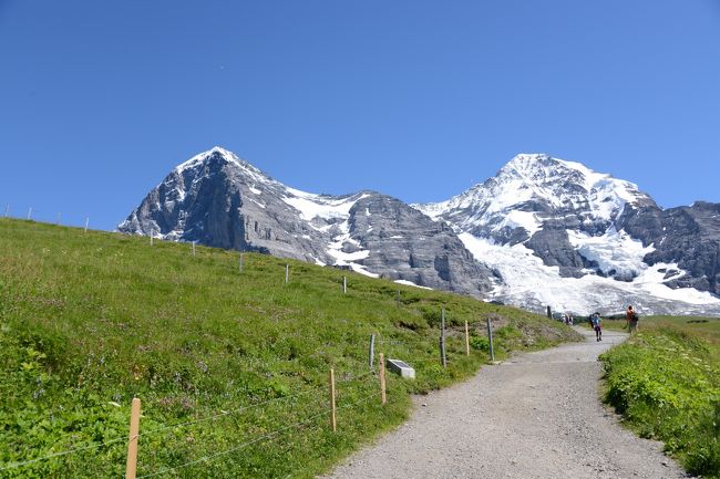 ハイキングを中心としたスイス旅行に行ってきました。<br />実はまともなハイキングは初めて。<br />11歳と7歳の娘2人を連れての家族4人でのハイキング。<br />子供連れの方の参考になればと思います。<br /><br />■本コースの情報■<br />登山鉄道の駅「アイガーグレッシャー」から「クライネシャイデック」までの1区間を歩くコースです。1時間みておけば十分でしょう。<br />ずっと下りが続きますので子供連れでも無理なく歩けます。<br /><br />逆に「クライネシャイデック」から登ってくる人も見かけましたが、こちらは登りになるので子供連れには大変だと思います。<br /><br />■他のコースの紹介■<br />・フィルスト ⇔ バッハアルプ<br /> http://4travel.jp/traveler/nagabuchikai/album/10807632/<br /><br />・ハイジハウス ⇔ ハイジヒュッテ<br /> http://4travel.jp/traveler/nagabuchikai/album/10807787/ <br /><br />・スネガ ⇔ グリンジゼー<br /> http://4travel.jp/traveler/nagabuchikai/album/10808026