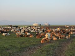 モンゴル～遊牧民のゲルに宿泊～