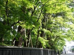 角館・秋田竿灯から肘折温泉経由で山形花笠踊りまで（一日目前半）～角館の武家屋敷は、佐竹北家が育んだ町。東北の名門、蘆名氏断絶の地でもあります～