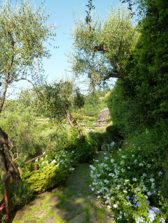 優雅な夏バカンス　イタリア・東リビエラの旅♪　Ｖｏｌ１５１（第１３日目朝）　☆ポルトフィーノ：「Hotel Splendido」の美しい庭園を優雅な朝散歩♪