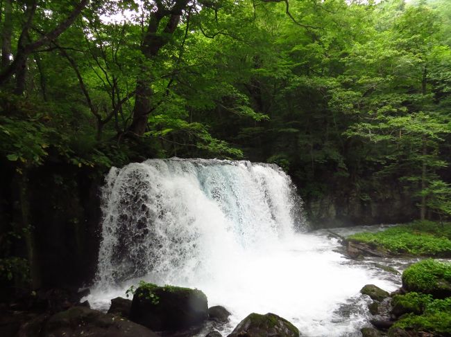 東北４泊５日旅行<br /><br />３日目です。<br /><br />夫婦ともに訪ねたかった、奥入瀬渓流を歩きます。<br /><br />少ーし曇りかな。<br /><br />キラキラ輝く流れは望めないかも・・・だけど<br /><br />遠いこの地に、はるばるやって来たのは、奥入瀬渓流を歩くためと言っても過言ではないのです～<br /><br />楽しみ、楽しみ。<br /><br />期待を胸に～ワクワク～ドキドキ～