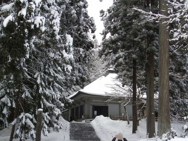 世界遺産となった中尊寺と義経最期の地を巡りました。<br />行きの東北道が雪で通行止めとなり日程変更を余儀なくされましたが、雪の平泉は大層美しい風景でした。