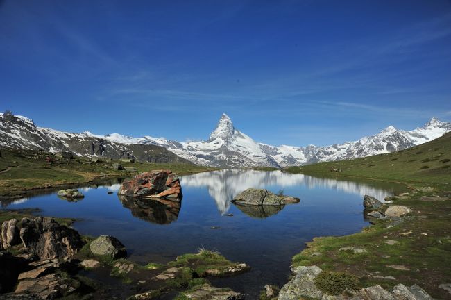 スイス花とハイキングの旅・逆さマッターホルンを訪ねて2019