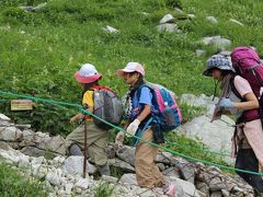 2013年　8月　中央アルプスの「千畳敷カール」（標高2612m）は、高山植物で溢れる爽やかな別天地（2）