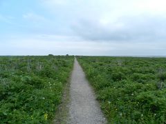 遂にやって来ました！野付半島『トドワラ』◆三年連続で初夏の北海道へ／2013年は道東＆小樽オフ会≪その５≫