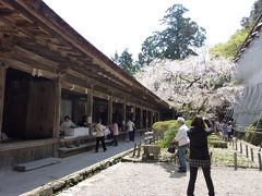 桜咲く「吉野」へ・・・。流石の素晴らしい桜の風景でした。そして、旅の後半は古都「飛鳥」へも！
