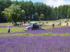 あいぼうとコペンの北海道グルッと３０００キロ走破！　vol.1　小樽から大雪山