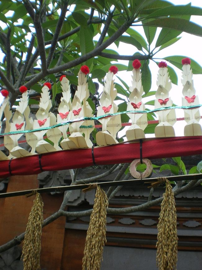 バリ島の大切な祭礼日に旅行期間中　まるっとかぶりました。<br /><br />お店がお休みになることは、ありませんでした。<br />日曜日の方がお店が閉まってますｗ<br /><br />