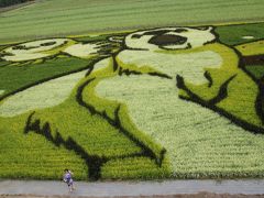 2013：夏たび・その3/後編　美瑛～旭川へ。いろいろな動物に癒されるぅ♪