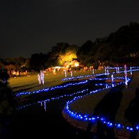 青春18切符一人旅　岡山　後楽園～金烏城～幻想庭園